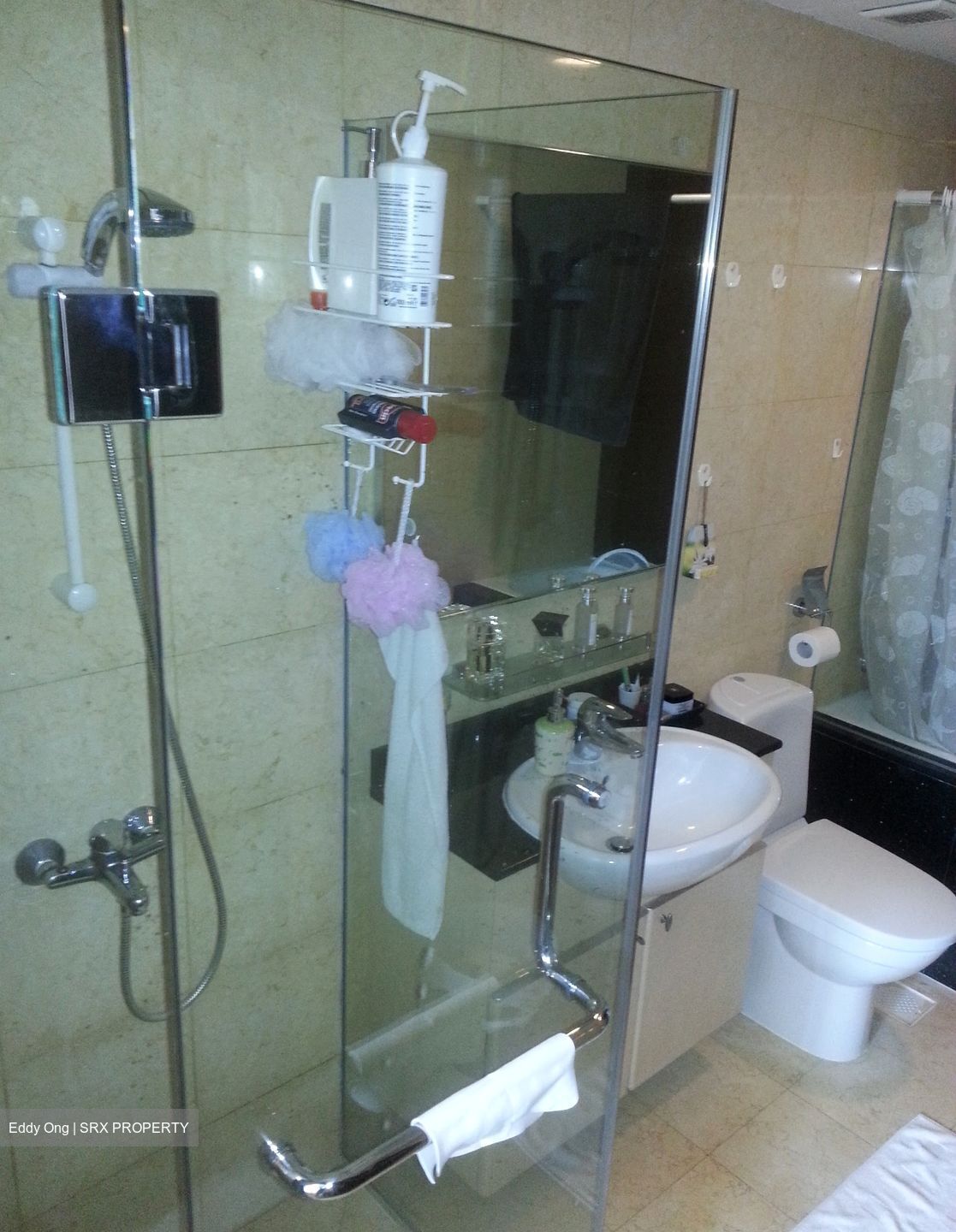 Jervois Regency (D10), Apartment #449986701